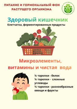 Питание и гормональный фон растущего организма